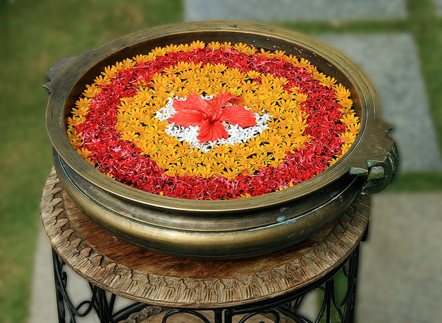 Bowl full with water and flower