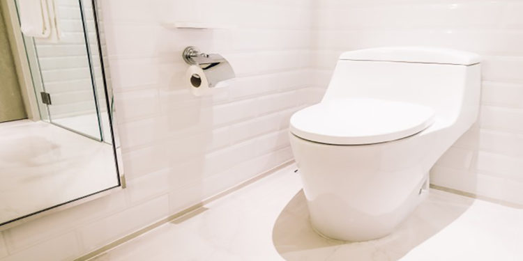 Toilet in Northeast Vastu Dosh and Remedies
